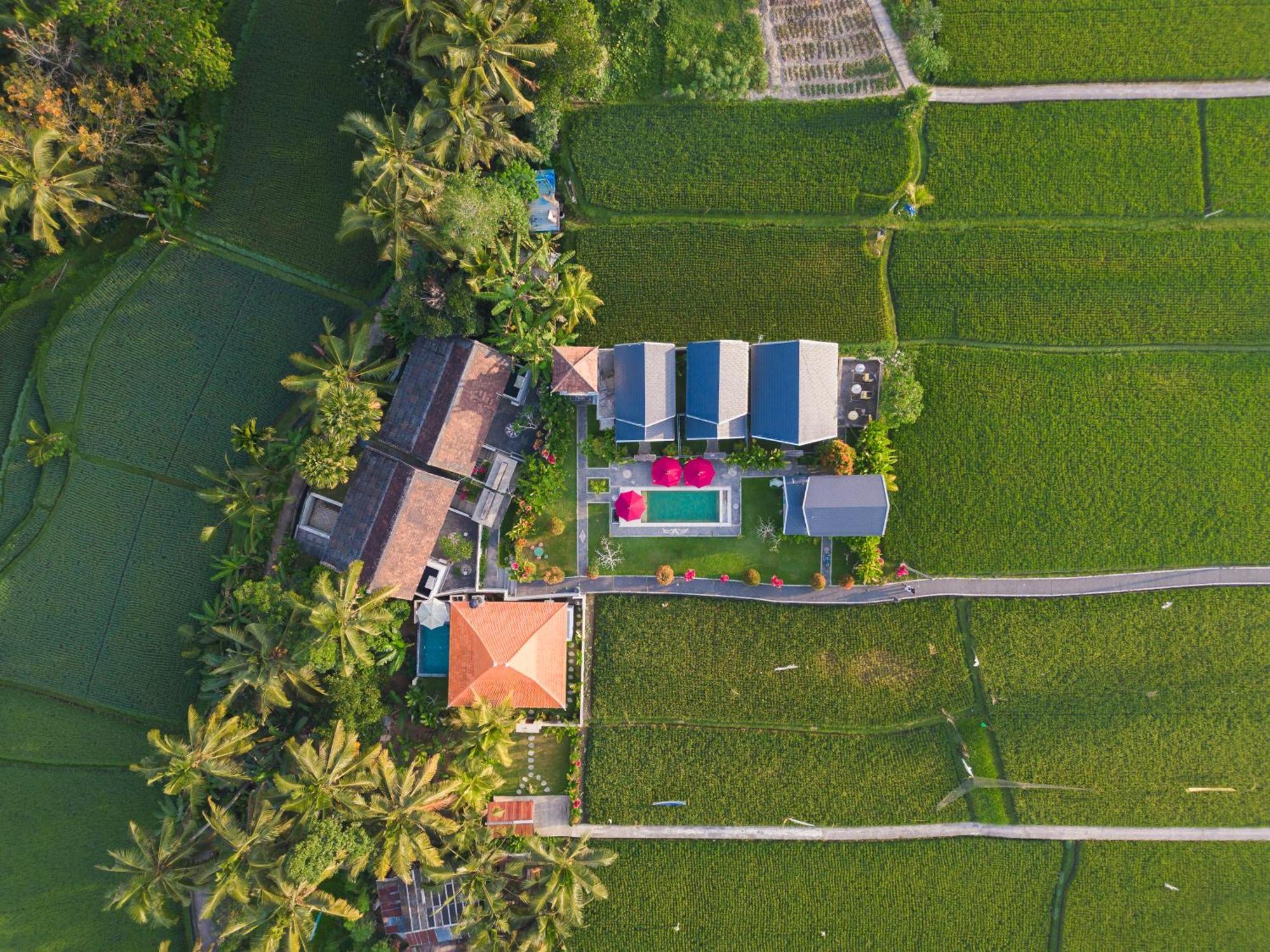 Villa Niniku