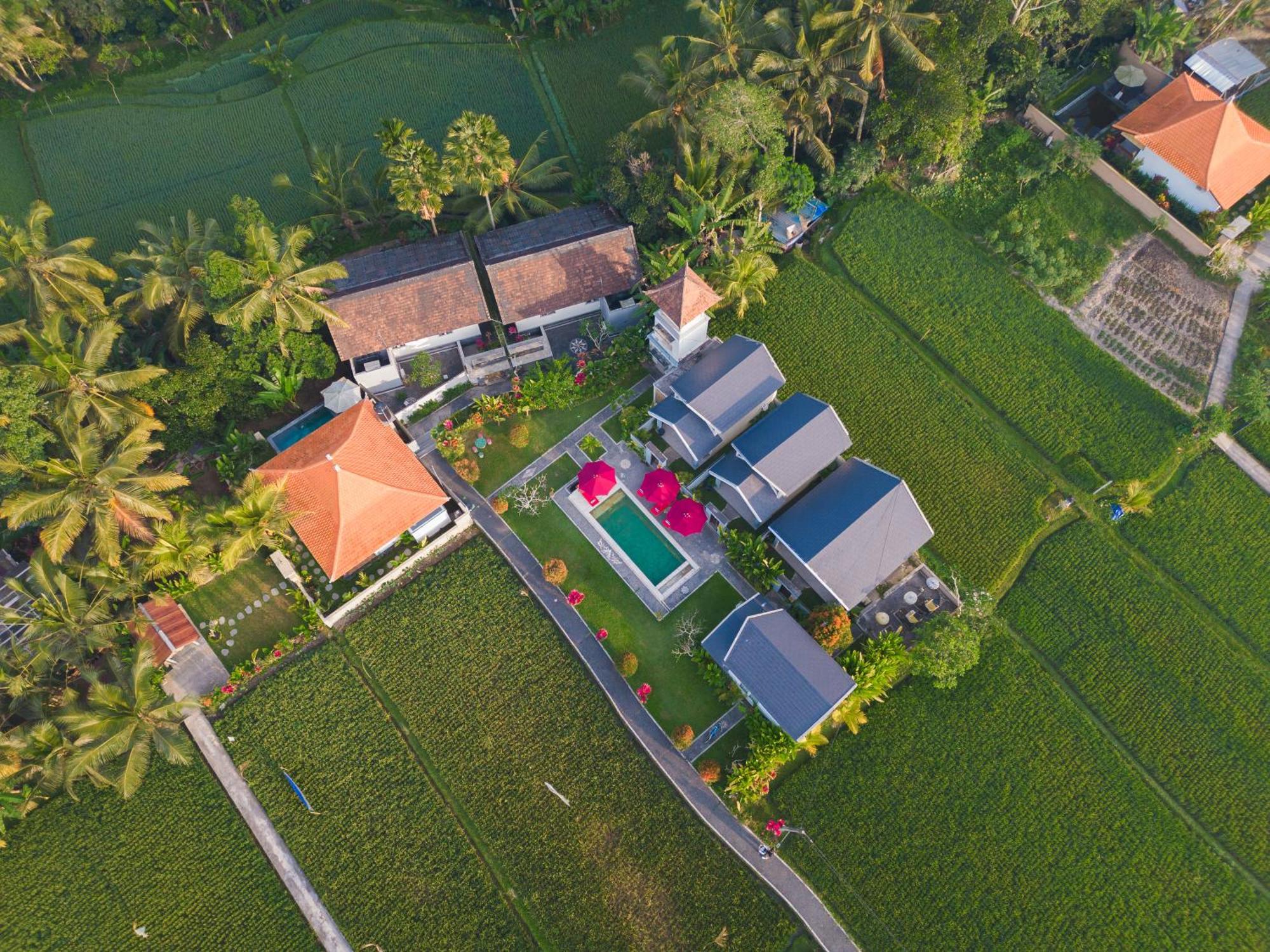 Niniku Ubud