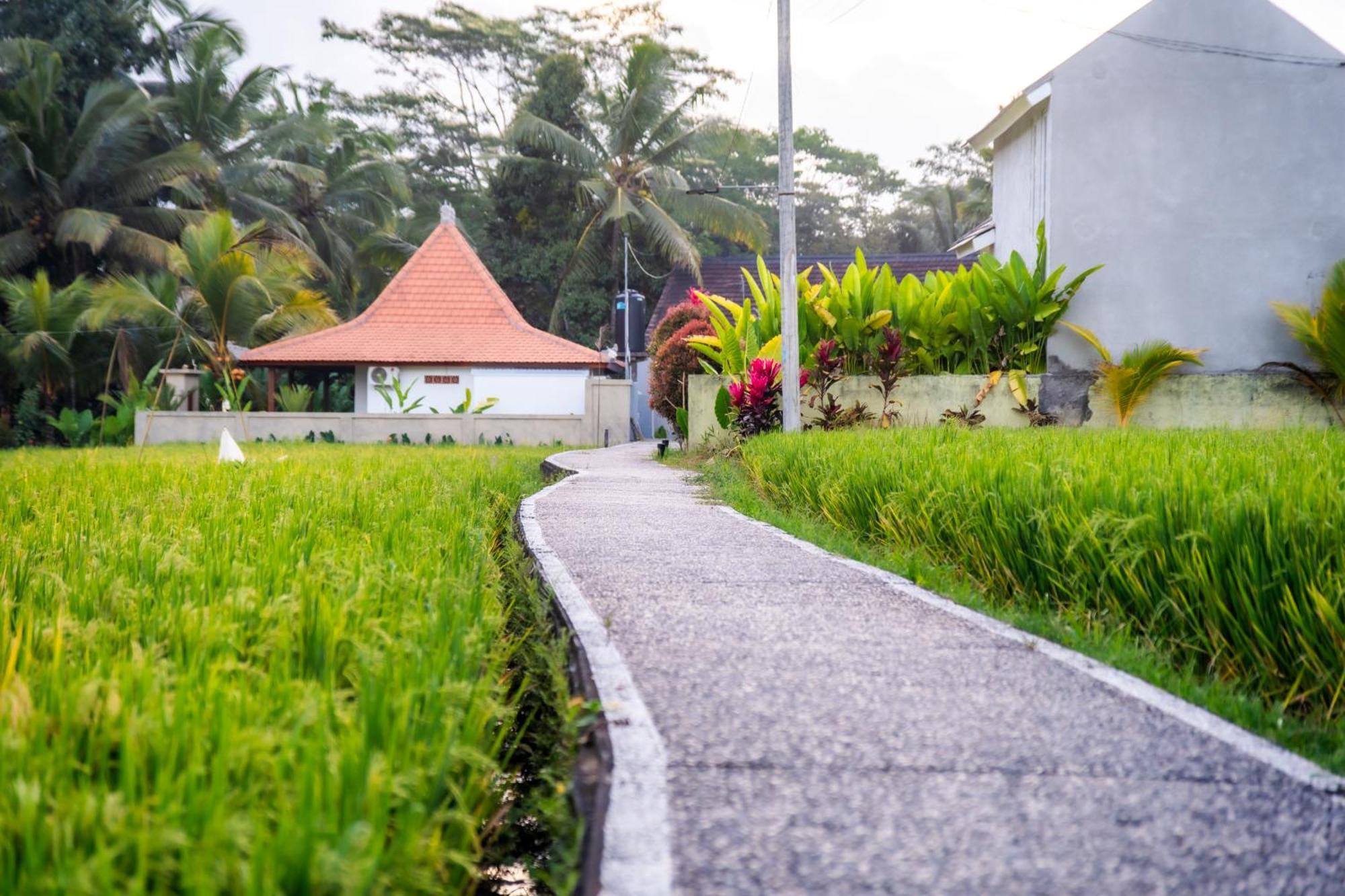 Niniku Ubud